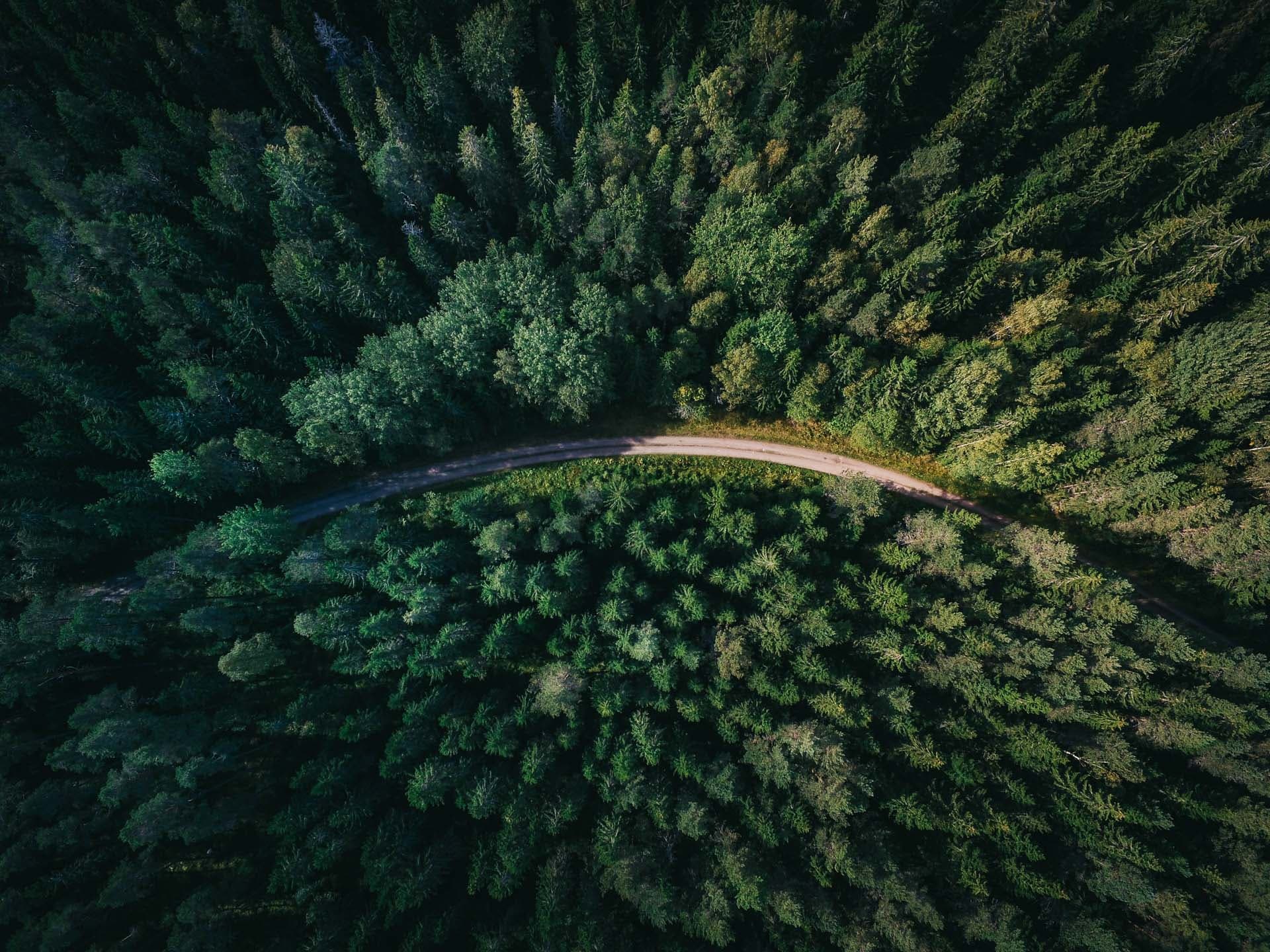 Road